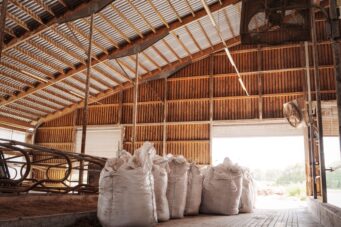 {{brizy_dc_image_alt imageSrc=